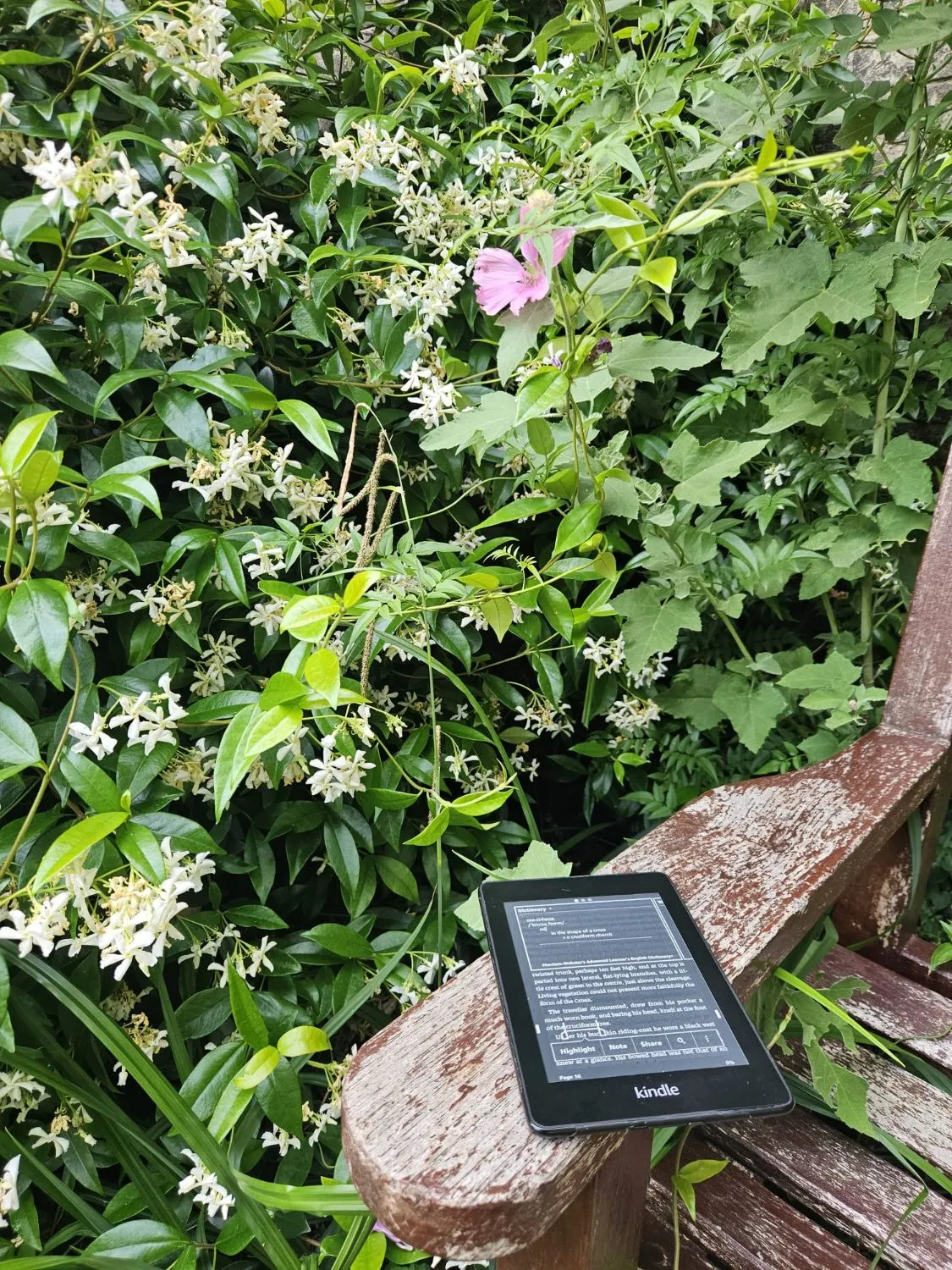 A Kindle resting on a garden bench, screen open to a dictionary lookup